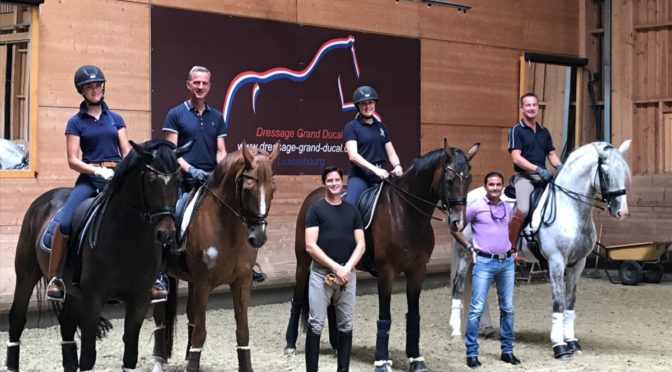01.09.2017 Dressage Grand Ducal