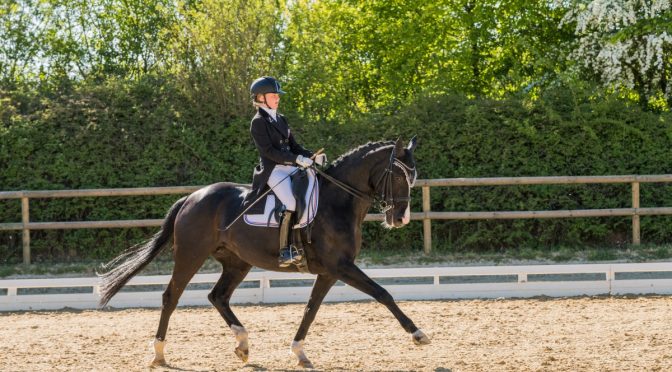 05-08.05.2018 Dressur in Canach