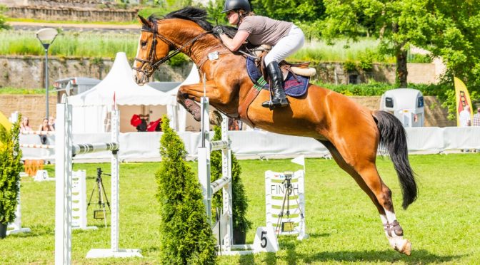 19.05.-21.05.2018 Schlasssprangen