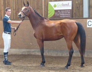 Dangerous Minds S.C.