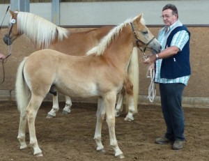 Streetfigther du Château de Sanem