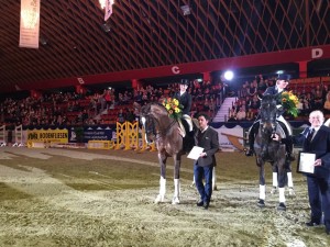 Verena Heinz Deutsches Goldenes Reitabzeichen