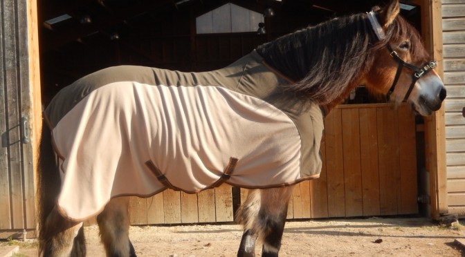 2015 HIPPOline Gewinnspiel