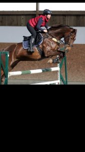 Springlehrgang mit Frank Andreas