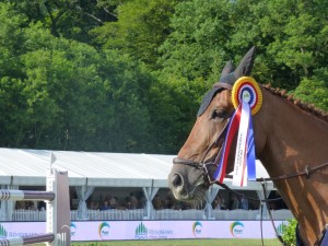 Das Siegerpferd im Grand Prix de Roeser 2015 Stella Lyght (Foto ChB)