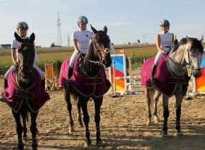 Alcantara-Quick Jack-Larry Lemon 2010