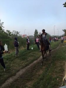 EM 2015 Distanzreiten