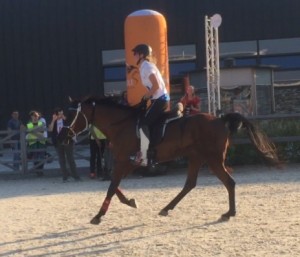 EM 2015 Distanzreiten