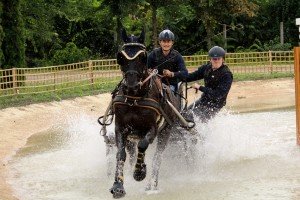 2015 Franz Schiltz mit Frodo