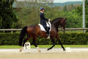 04.06.-05.06.2016 Dressurturnier in Welscheid