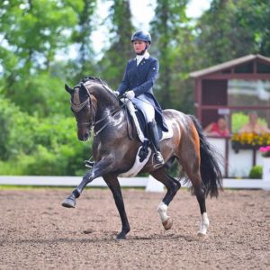 Mandy Zimmer mit Saladin 11 Jähriger Wallach