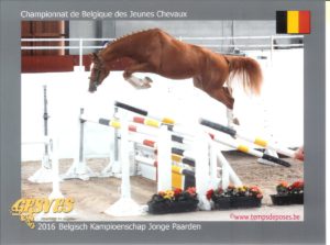 Balou des Frimonts