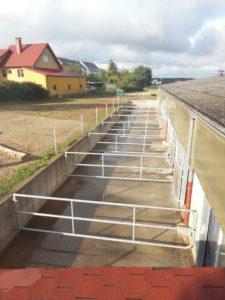 Manège Medinger - Paddocks