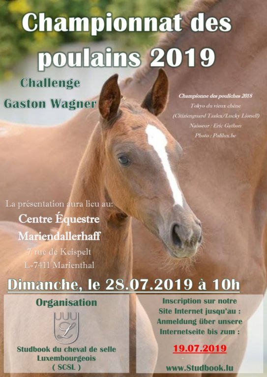flyer championnat des poulains 2019
