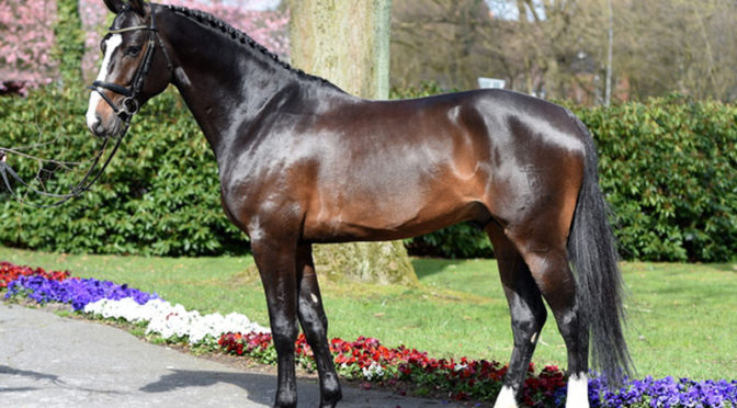 17.03.2020 SCSL FREISPRINGEN