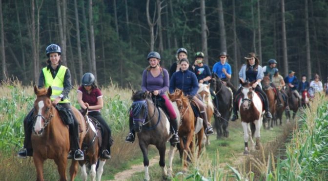 20.04.2020 Pferdetourismus