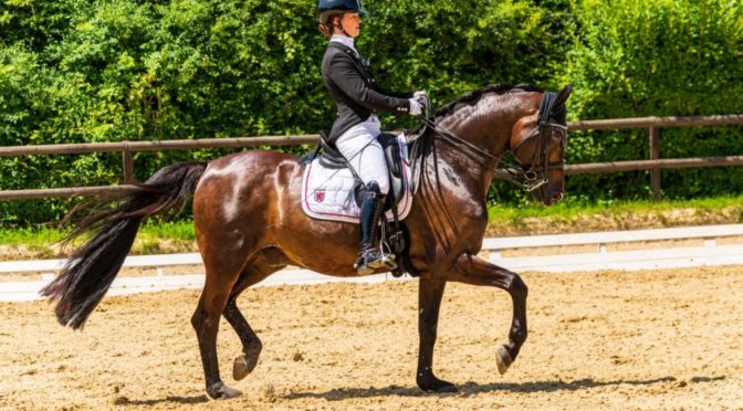 17.07.-18.07.2021 LPO Dressurturnier in Canach