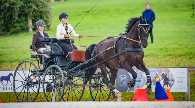 22.07-25.07.2021 Haras National du Pin