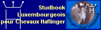 Studbook luxembourgeois des Chevaux Haflinger