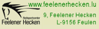 Feelenerhecken-Banner