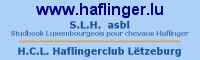 Haflinger-Banner